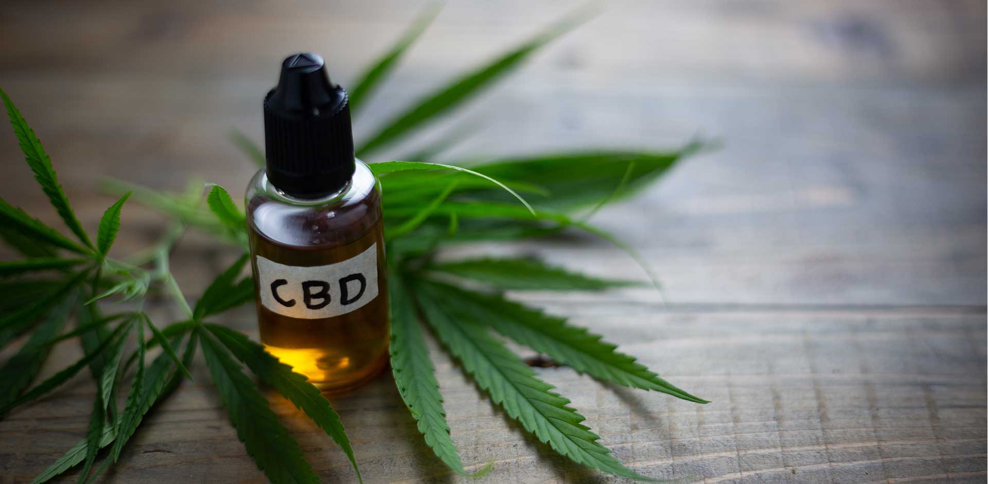 Free CBD Samples